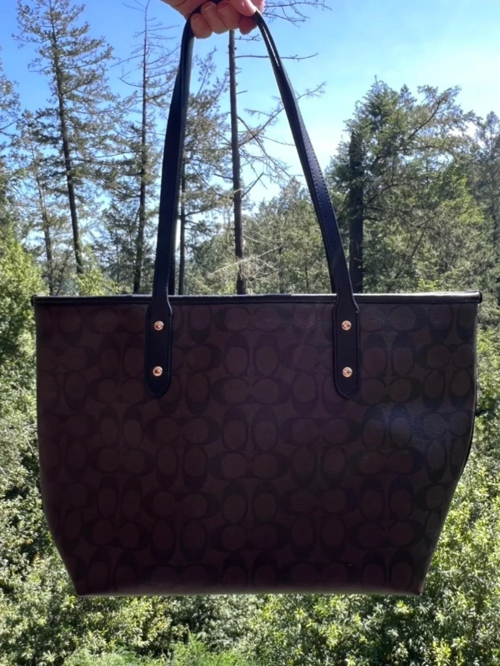 COACH Shoulder Bag Tote Brown/Black Signature Canvas Gold Hardware AUTHENTIC